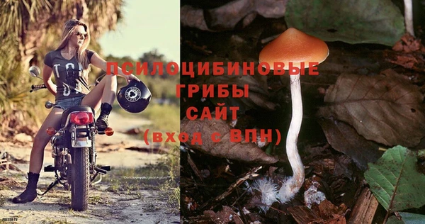 марки nbome Алексеевка