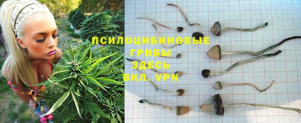 марки nbome Алексеевка